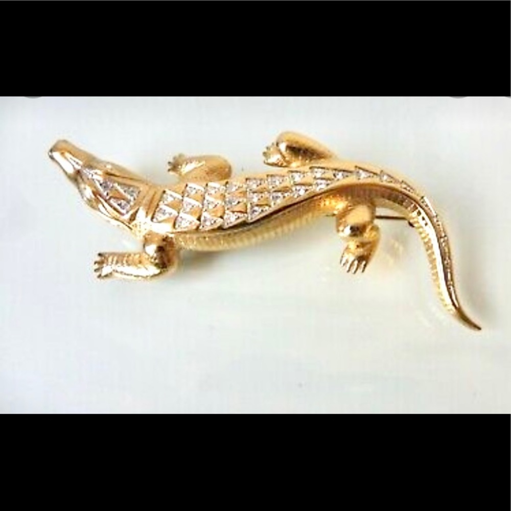 Beautiful Pin / Brooch